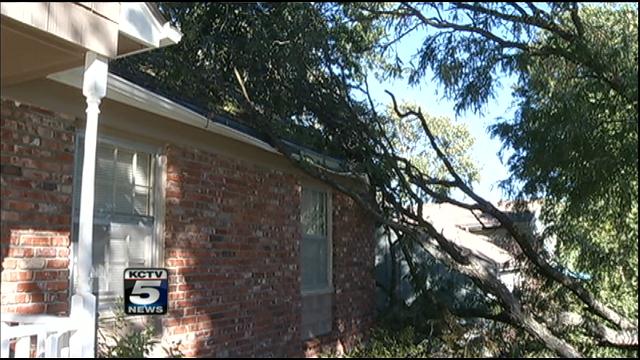 Man says insurance company refuses to pay for tree damage - WSMV ...