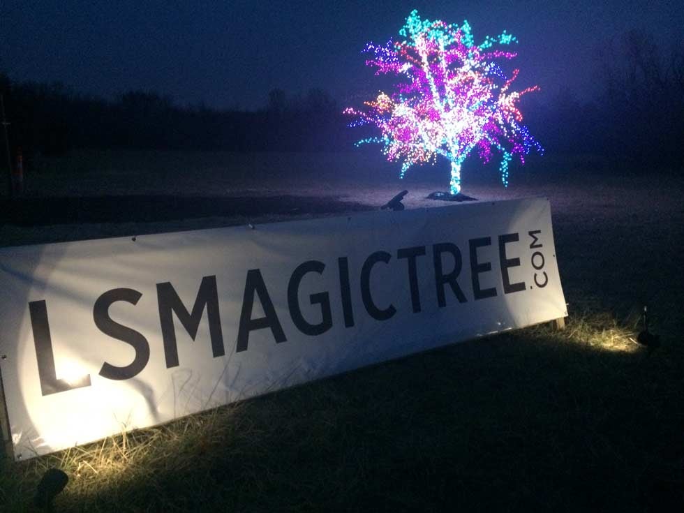 Festive tree provides holiday magic, amazement